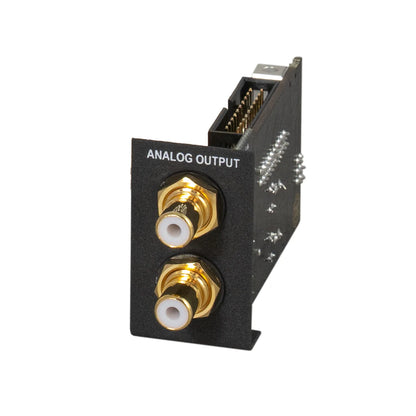 BRAX DSP Output Analog ESS - Upgrade Output Modul For BRAX DSP CORE